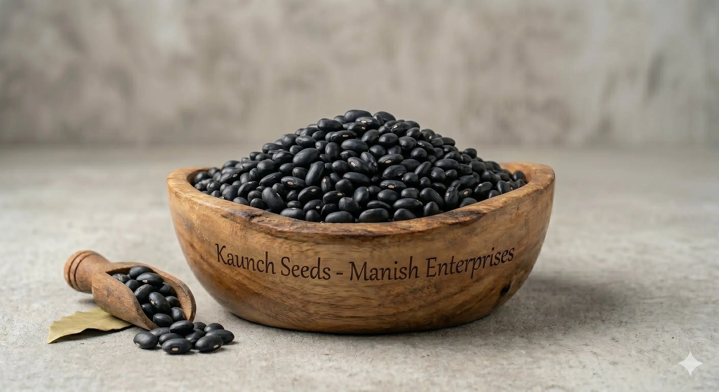 Premium wholesale Kaunch seeds Mucuna Pruriens bulk exporter Neemuch Manish Enterprises