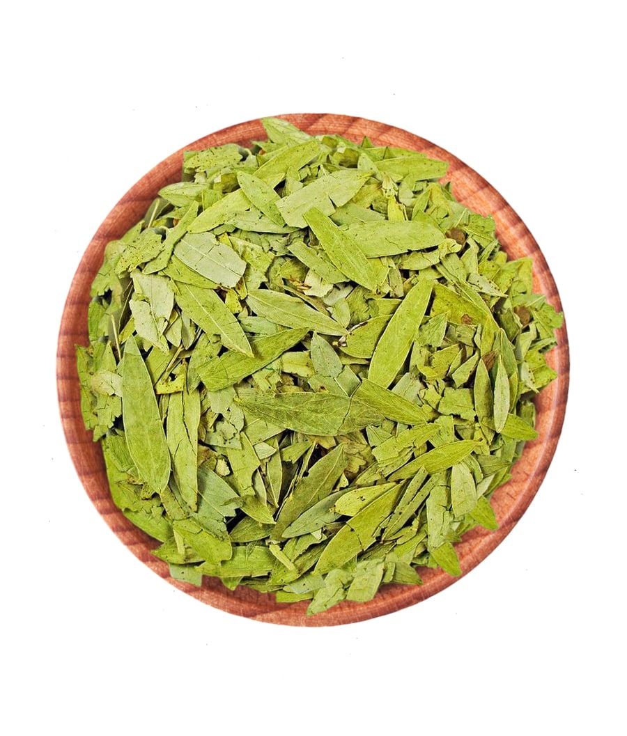 Premium wholesale Senna Leaves Sana Patta Cassia alexandrina Neemuch Manish Enterprises
