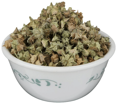 Premium wholesale Gokhru Tribulus terrestris fruits Neemuch Manish Enterprises