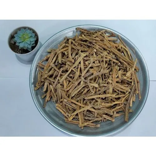 Premium wholesale Hadjod Harjod Cissus quadrangularis stems Neemuch Manish Enterprises