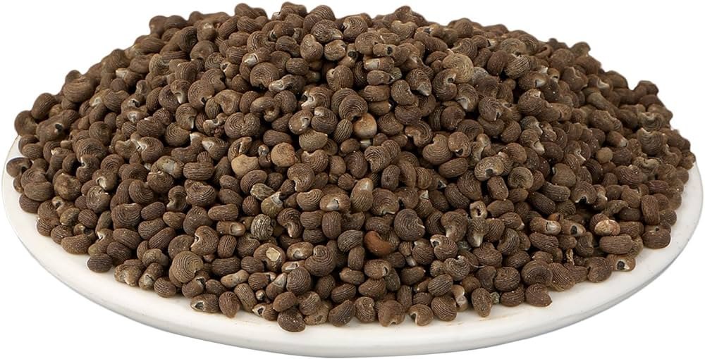 Premium wholesale Muskdana ambrette seeds aromatic Neemuch Manish Enterprises