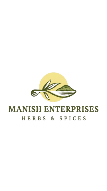 Premium wholesale Vana Tulsi dried leaves Ocimum gratissimum Neemuch Manish Enterprises
